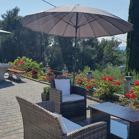 Bancic * بورتوروز