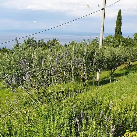 Bancic Apartament Portorož