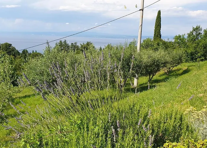 Bancic דירה בפורטורוז