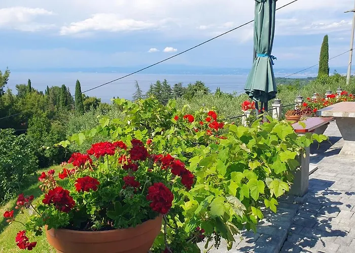 Bancic * בפורטורוז