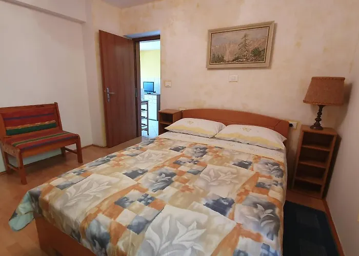 Bancic דירה בפורטורוז